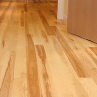 Ash Unfinished Solid Hardwood Flooring at Wholesale Prices